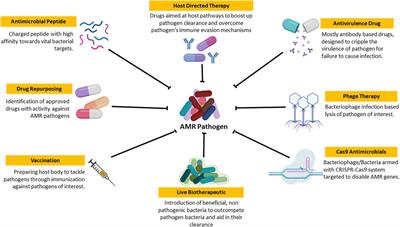 Frontiers | Next-Generation Approaches Needed To Tackle Antimicrobial ...